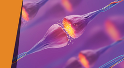 Hương vị biến mất