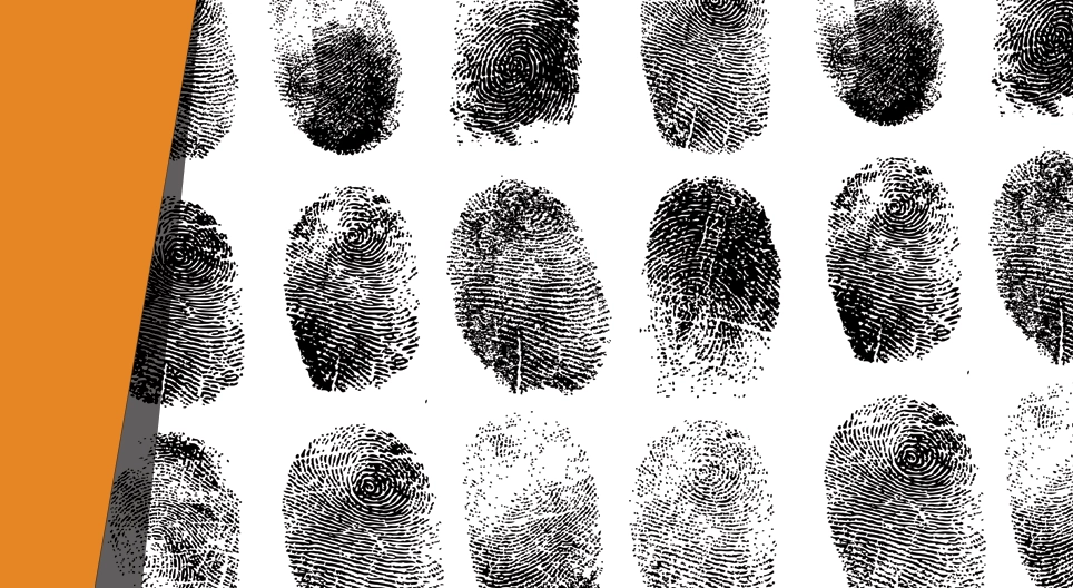 Ai đã làm điều đó?