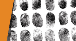 Ai đã làm điều đó?