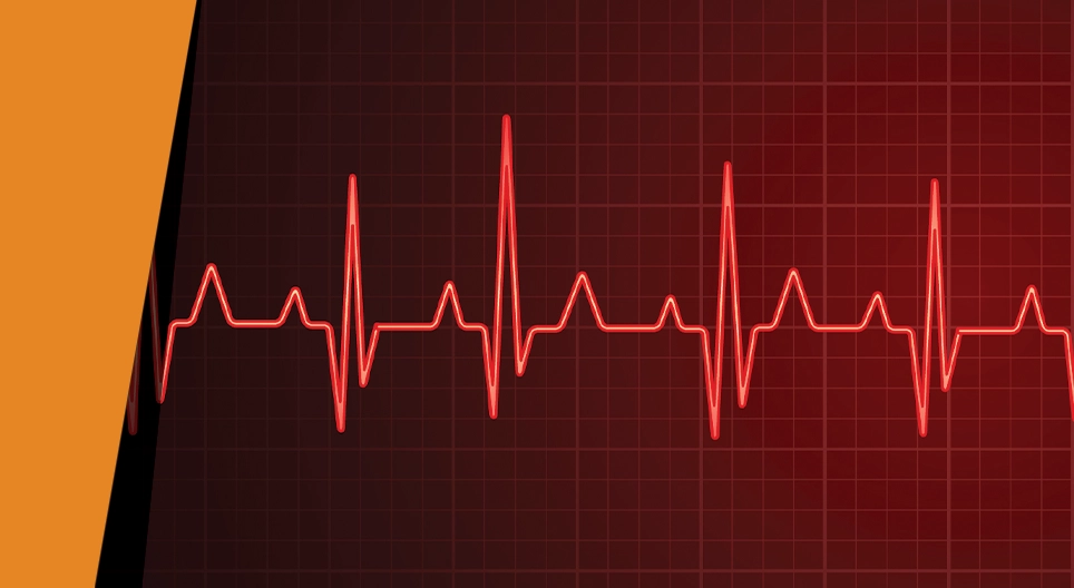 Nhịp điệu của trái tim bạn