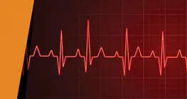 Nhịp điệu của trái tim bạn