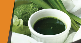 Màu sắc của lá