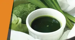 Màu sắc của lá