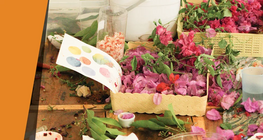 Vẽ tranh bằng cây xanh