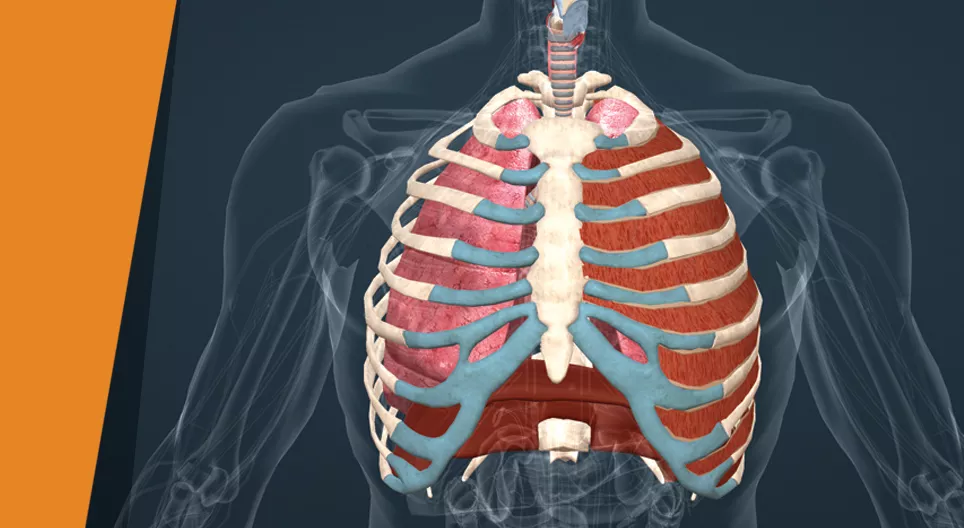 Hít một hơi thật sâu