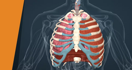 Hít một hơi thật sâu