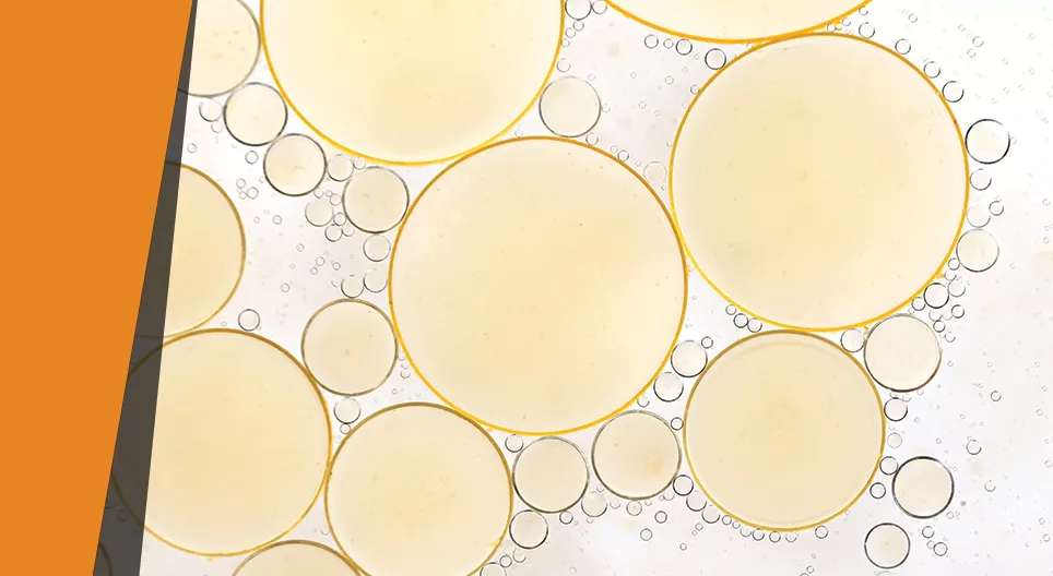 Chất béo biến mất