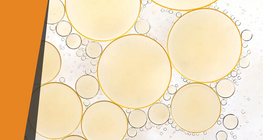 Chất béo biến mất