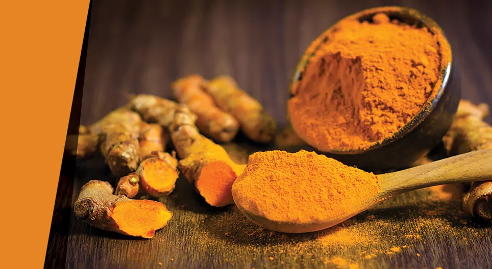 Thuốc nhuộm rụt rè