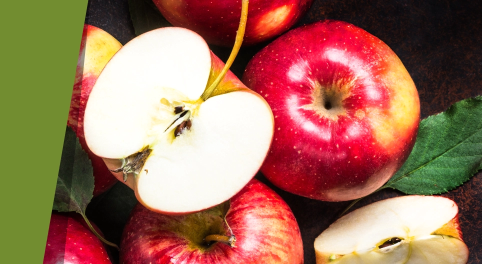 'Rám nắng' trong bóng râm