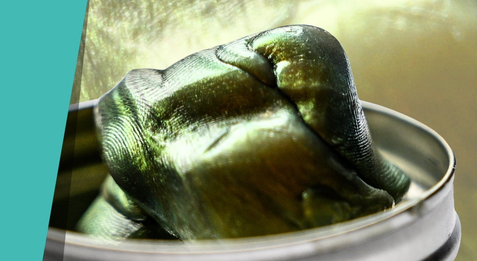 Silly putty hay smart putty?