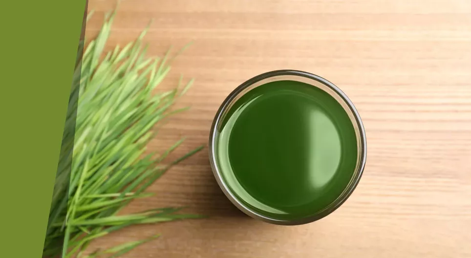 Bí mật của súp cỏ