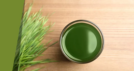 Bí mật của súp cỏ