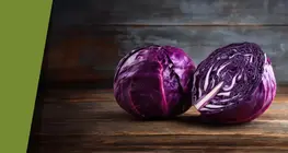 Bắp cải tím đa sắc