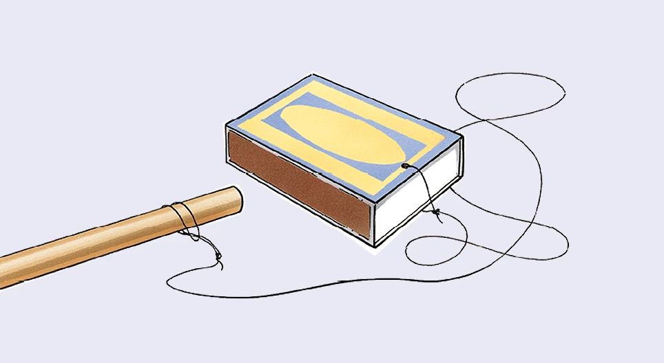 Đàn vĩ cầm ếch