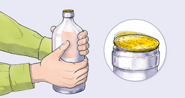 Đồng tiền nhảy múa