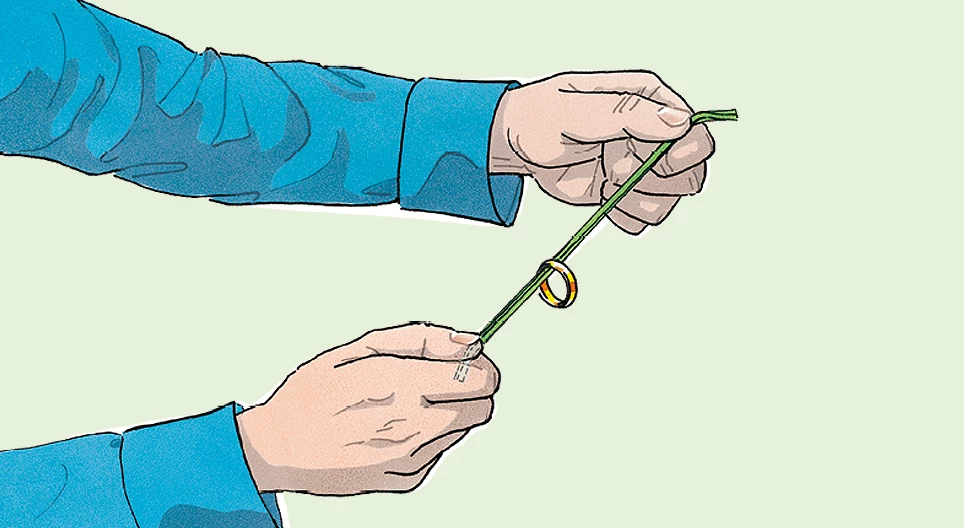 Chiếc nhẫn leo lên dốc