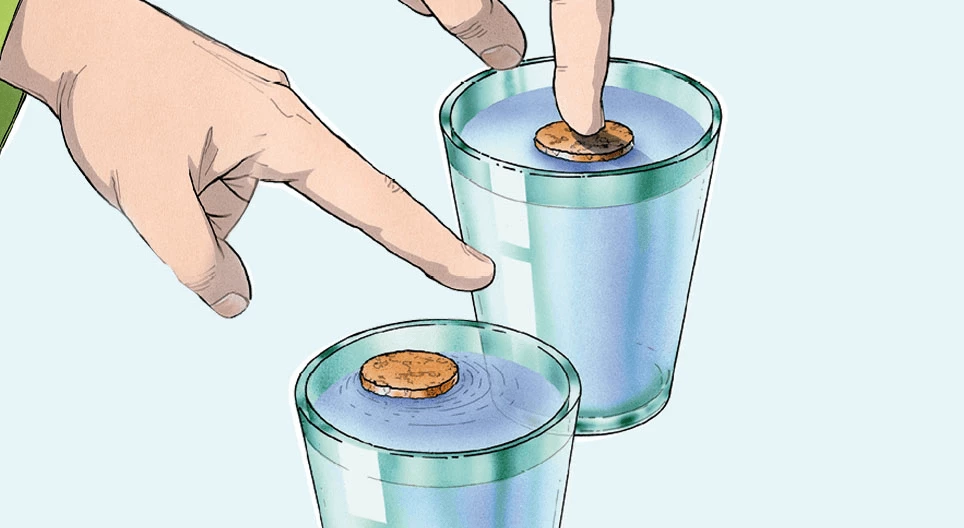 Nút bần trung thành