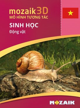 Book MS-9501-VI