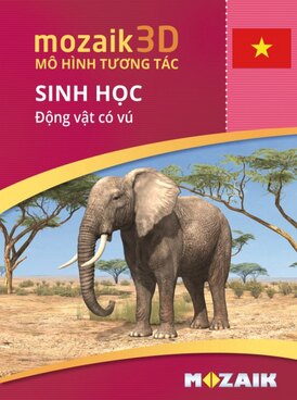 Book MS-9523-VI