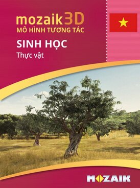 Book MS-9524-VI