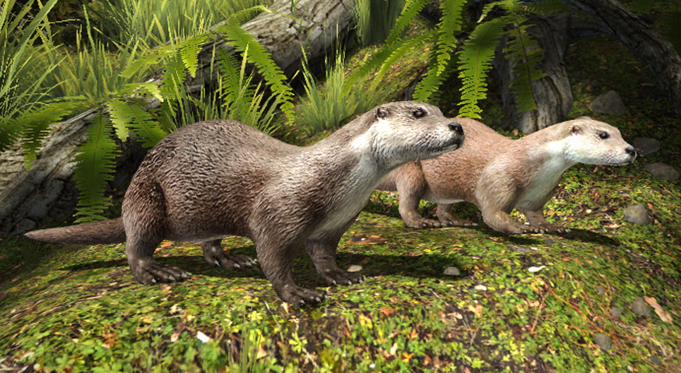 European otter