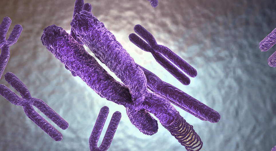 Sắp xếp vật liệu di truyền