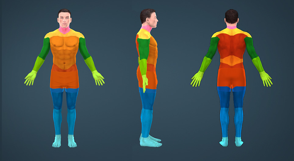 Parts of the human body (for kids)