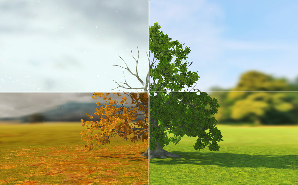 English oak (basic)