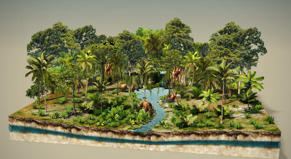 Nạn phá rừng
