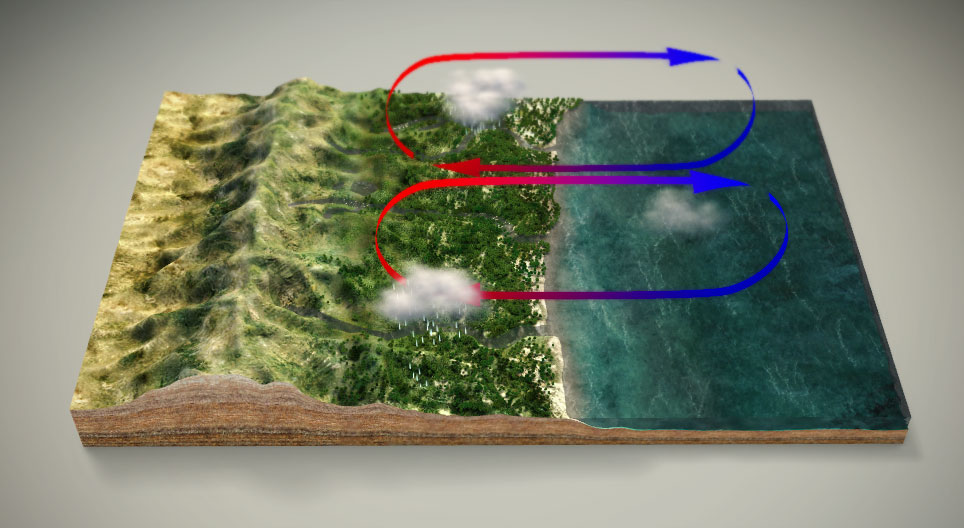 Hệ thống gió mùa