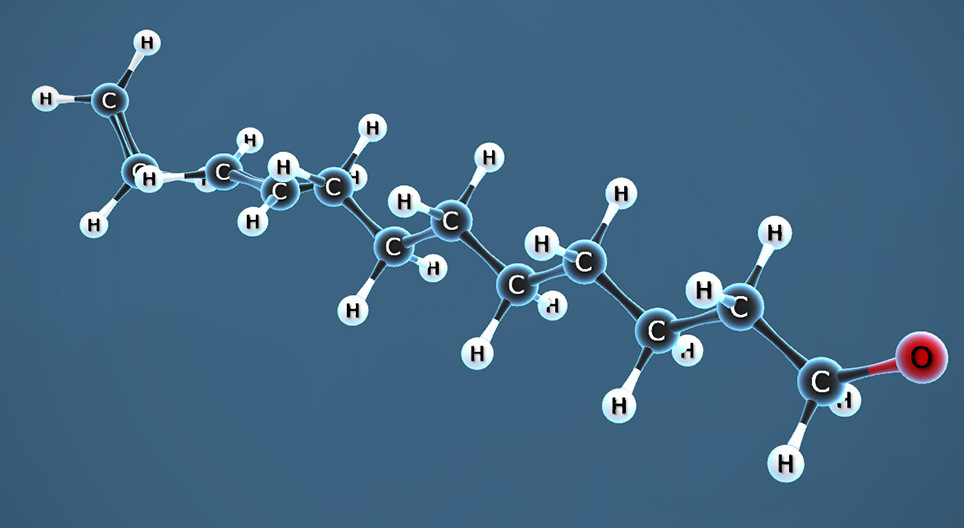 Phản ứng trùng hợp ethylene