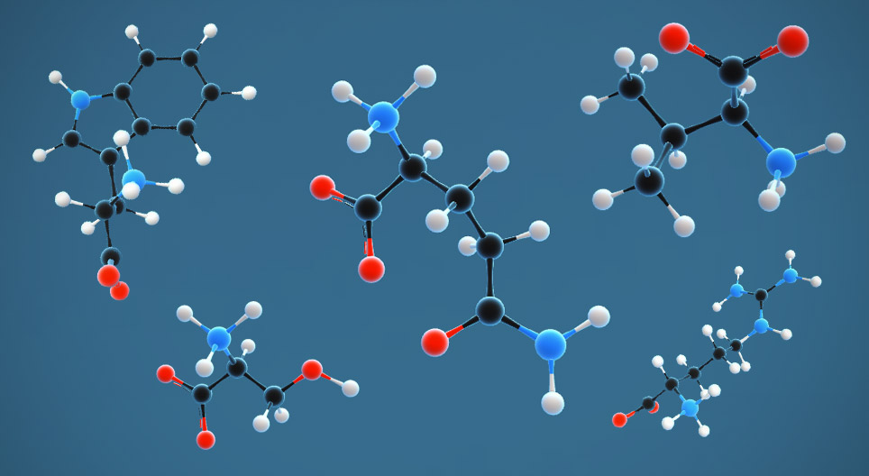 Amino axit