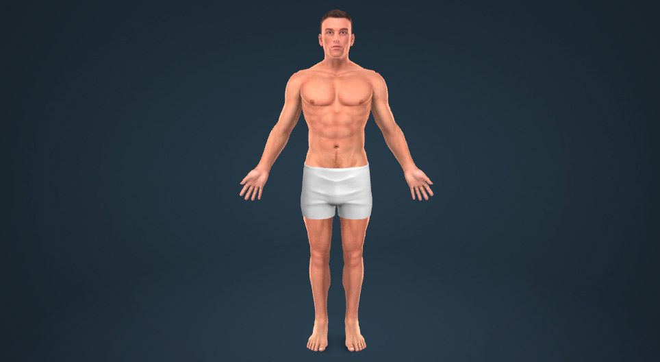 Body parts
